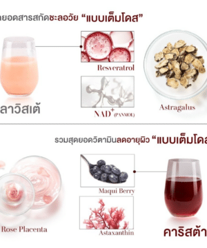 ผลิตภัณฑ์เสริมอาหารของ คุณกระแต by KATHY LABZ 03